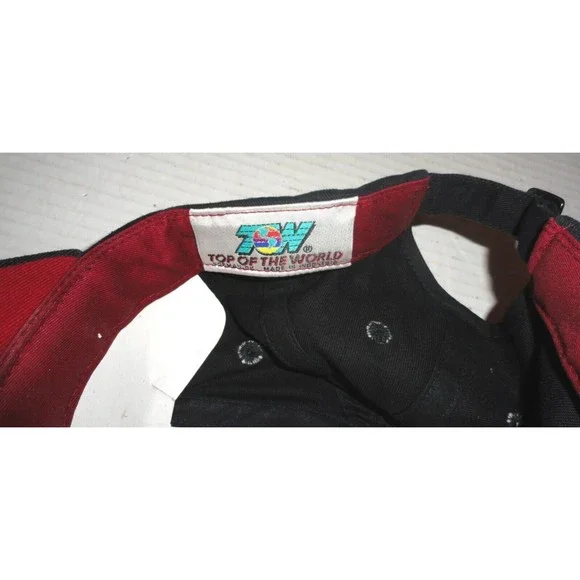 Brickyard 400 August 5, 2001 Buckle Adjustable Limited Edition Hat 456 of 2001 - Picture 7 of 7